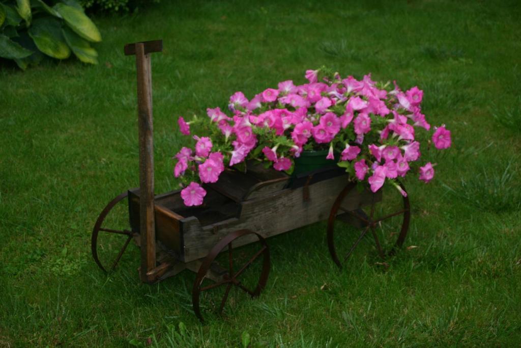 Champagne Gilmaire-Etienne Bed & Breakfast Binson-et-Orquigny Bagian luar foto
